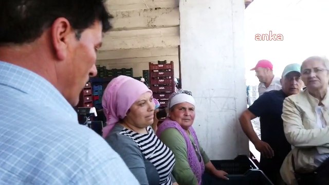 Manisalı kiraz üreticileri: Geçen sene 1 kilo kirazla 2,5 litre mazot alırken bu sene 1 litre alamıyoruz