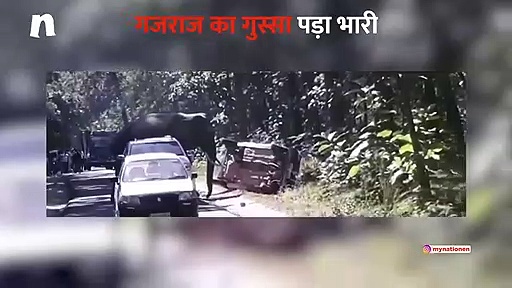 पर्यटकों पर टूटा गजराज का गुस्सा