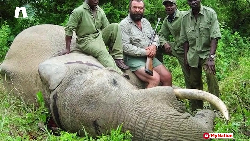 DePress Room | Have humans reached their lowest point?