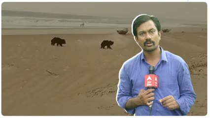 Bear Fear In Srikakulam:  శ్రీకాకుళం జిల్లాలోని కొన్ని గ్రామాలను వణికిస్తున్న ఎలుగుబంటి భయం