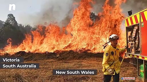DePress Room | Australia is burning and we have to act fast
