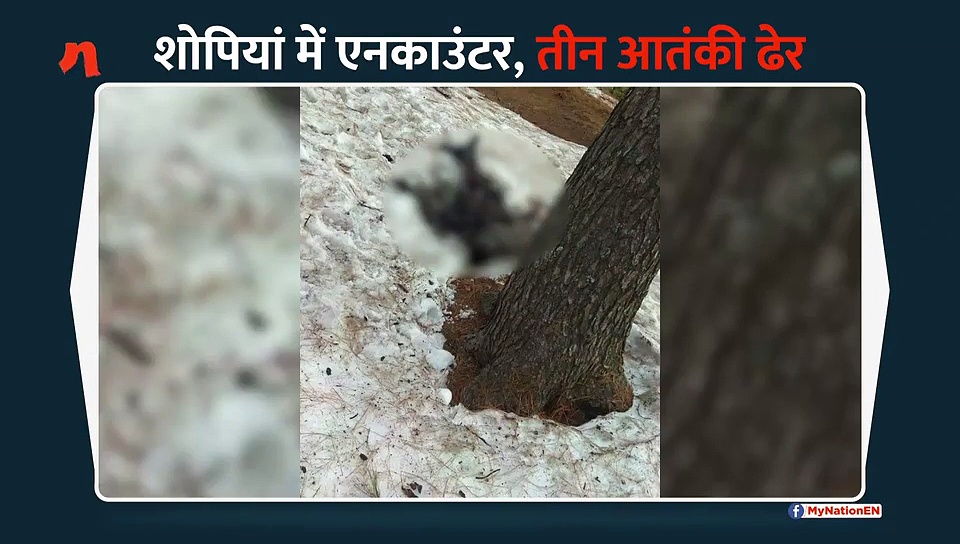 जम्मू-कश्मीर के शोपियां में मुठभेड़, तीन आतंकी ढेर