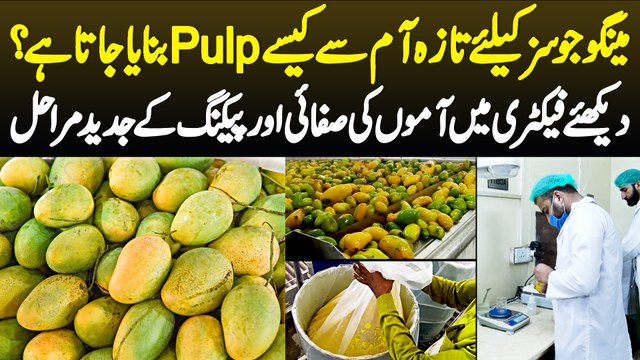 Mango Juice Ke Liye Mango Pulp Kaise Banaya Jata Hai? Dikhiye Factory Me Mangoes Ki Safai Or Packing