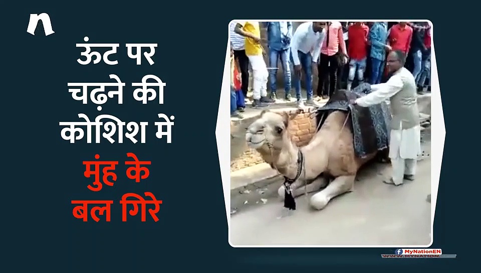 यह वीडियो देखकर आपको पाकिस्तानी प्रधानमंत्री इमरान खान की आ जाएगी याद