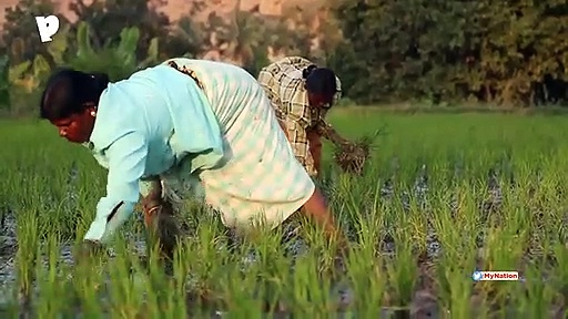 Indian Economy Will Rebound Soon; Current Slowdown Cyclical: Vice President of India