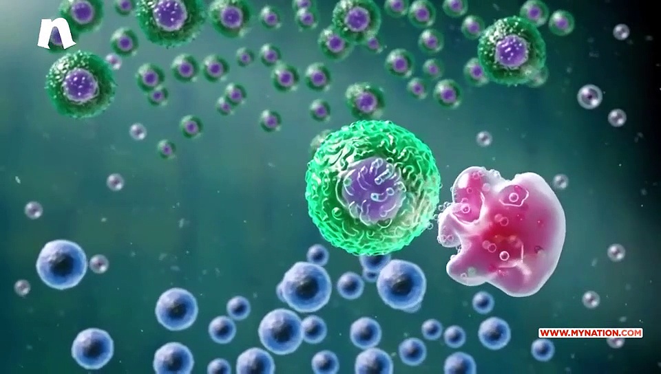 Cases of common cancer increased by 324%; matter of concern