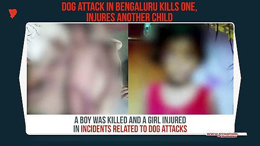 Karnataka: Dog attacks kill five-year-old boy, severely injure girl in Bengaluru