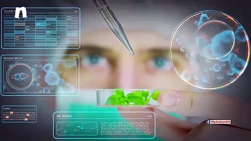 Greenhouse gas emissions to kill 1.5 million people every year in India in 2100