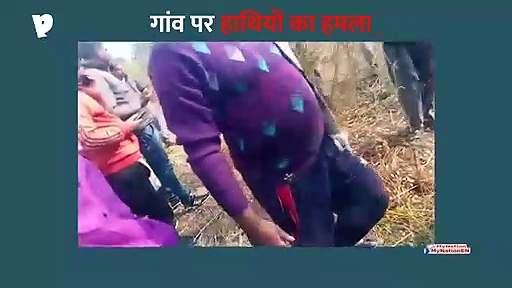 हाथियों ने किया गांव पर हमला