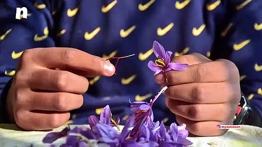 Here are the top 5 health benefits of saffron