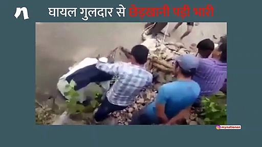 बागेश्वर में जब घायल गुलदार ने किया हमला, देखें वीडियो