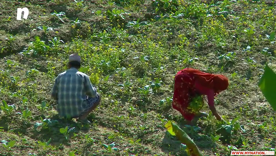 Chaudhary Charan Singh, The 5th Prime Minister of India