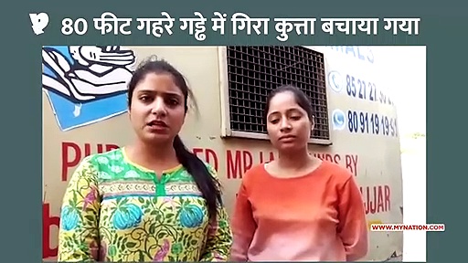 80 फीट गहरे गड्ढे में गिरे कुत्ते को सही सलामत निकाला