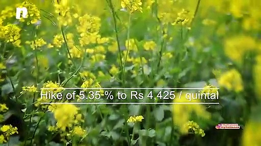 How The Government Is Helping Indian Farmers