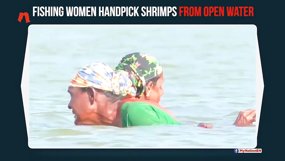 Tamil Nadu fisherwomen risk their lives; use traditional method to catch shrimps