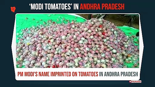 PM Modi's name, India map on tomatoes in Andhra Pradesh