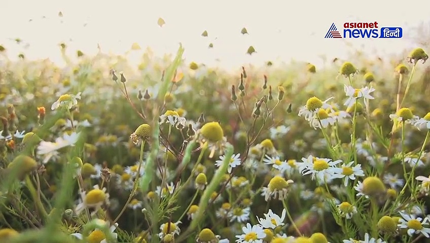 मासिक के दर्द से निजात पाने के लिए आजमाएं यह खास उपाय