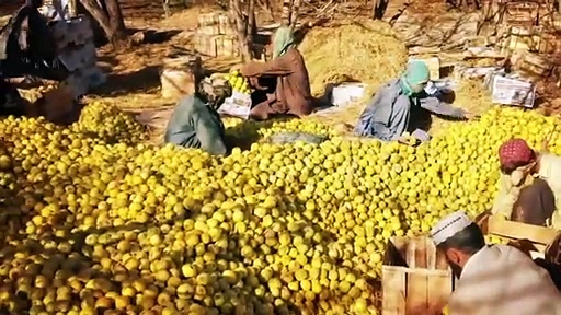 कश्मीर पर हंगामा मचा रहे पाकिस्तान के बलूचिस्तान में ऐसे हैं हालात, जरा नजर डालिए