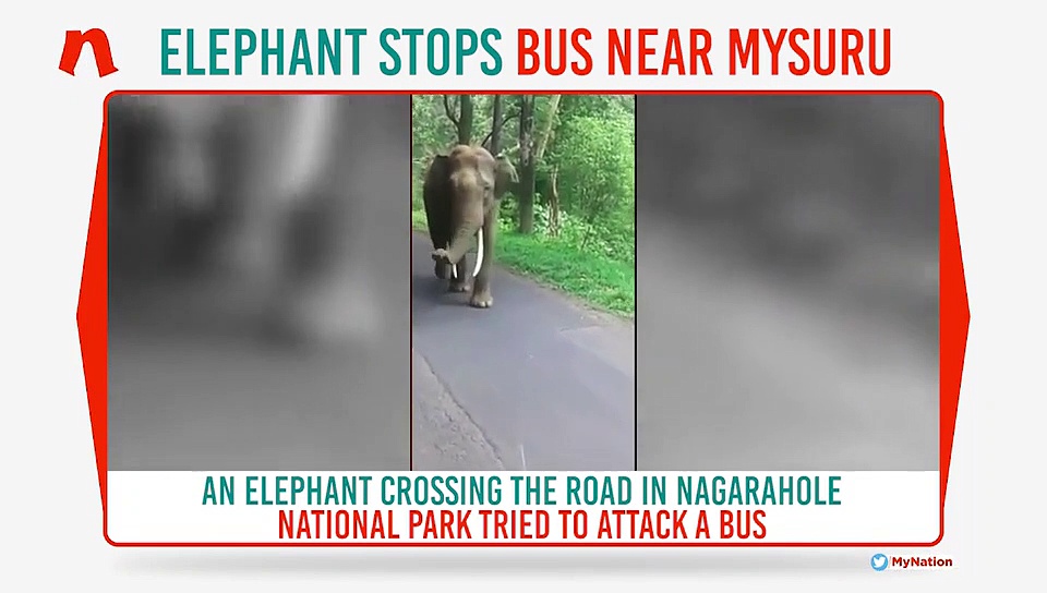 Karnataka: Watch what happened when elephant tried to attack bus in Nagarahole