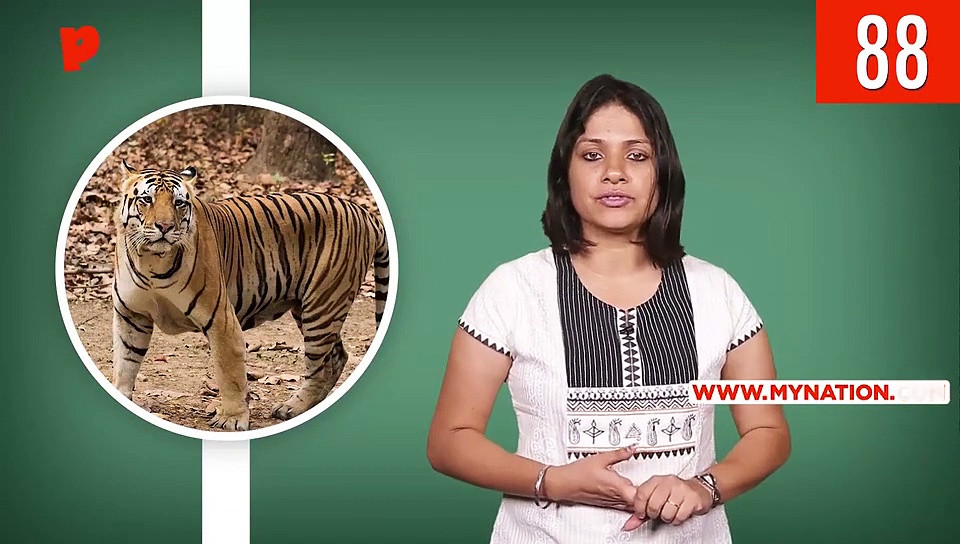 From Maneka Gandhi fighting for justice for Tigress Avni to BJP's Sanjay Kumar being sacked after #MeToo allegations, here are today's headlines