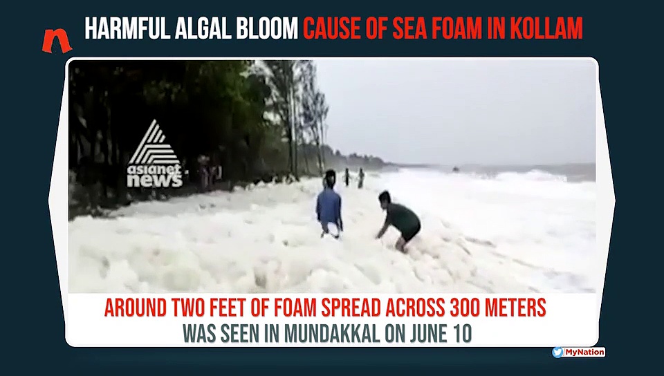 Harmful algal bloom reason for foam in Kollam sea, say NIO researchers