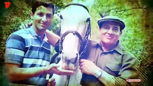 Among Avni's killers, one admits tigress was killed without attempts of tranquilising