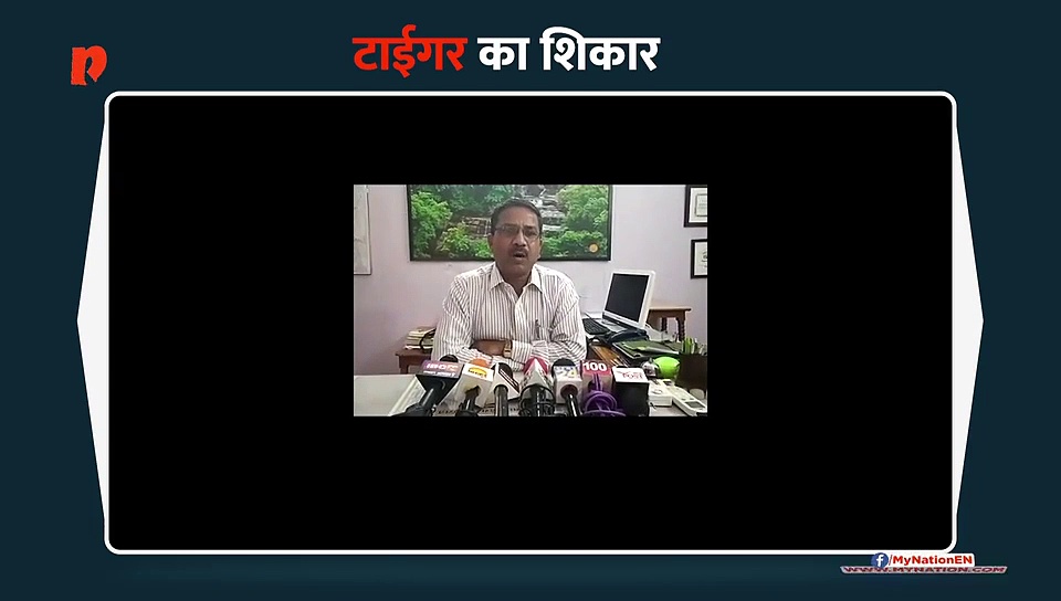 टाईगर का शिकार