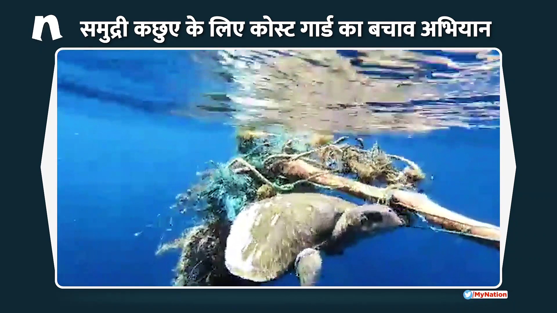 ...जब कोस्ट गार्ड ने बचाया लुप्त हो रहे समुद्री जीव का जीवन