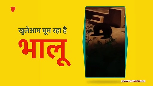 कोटा थर्मल पावर प्लांट में भालू कर रहे हैं विचरण, दहशत में स्थानीय