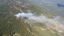 Son dakika haberleri! İzmir Kemalpaşa'da Çıkan Orman Yangını Kontrol Altına Alındı