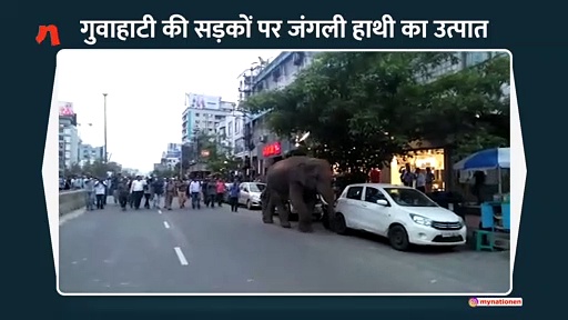 गुवाहाटी में जंगली हाथी ने बाजार में मचाया उत्पात