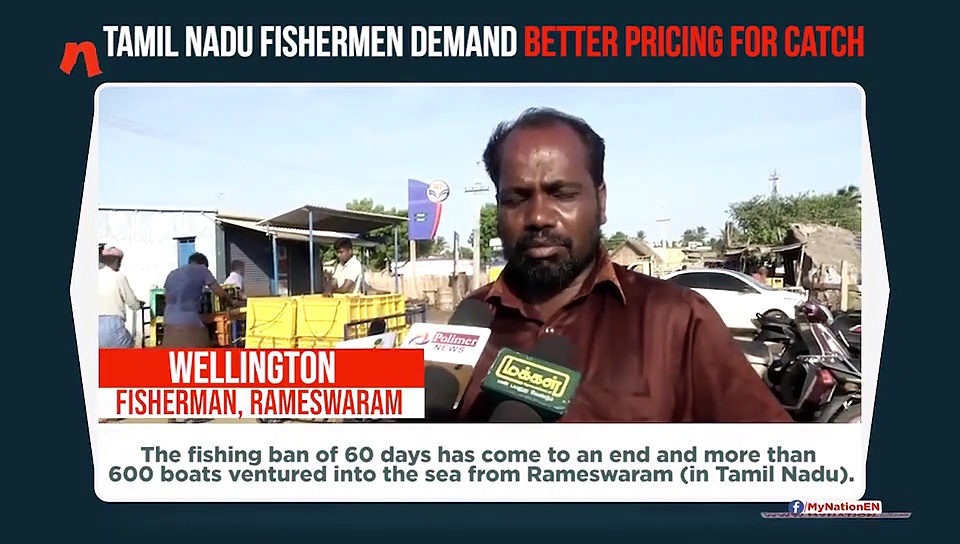 Tamil Nadu fishermen return with big catch but small income; seek govt’s intervention