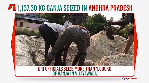 Andhra Pradesh: DRI officials seize more than 1,000kg ganja in Vijayawada