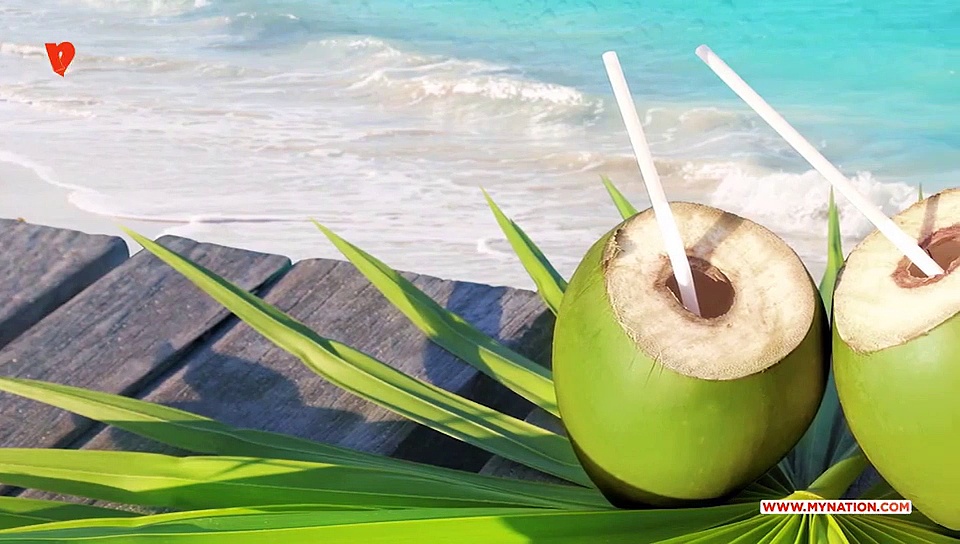 Here’s to health: 10 reasons why tender coconut water is the coolest drink ever