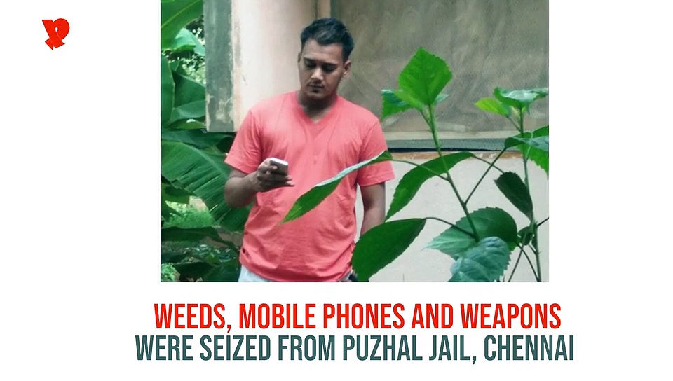 Chennai: Weed, mobiles, weapons; prisoners lead luxurious life in Puzhal jail (Video)