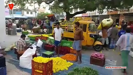 Pongal:  Jasmine flowers sell for Rs 3,500 per kilo in Erode, Tamil Nadu