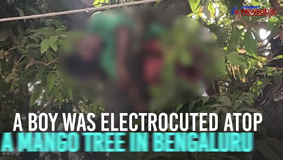 Bengaluru: 13-year-old boy tries to pluck mango, electrocuted