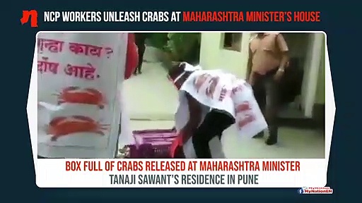 Tiware dam breach remark: Crabs released at Maharashtra minister Tanaji Sawant’s doorstep
