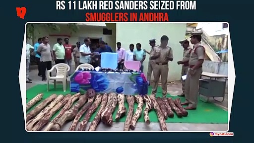 Andhra Pradesh: Red sanders worth Rs 11 lakh seized from smugglers in Nellore