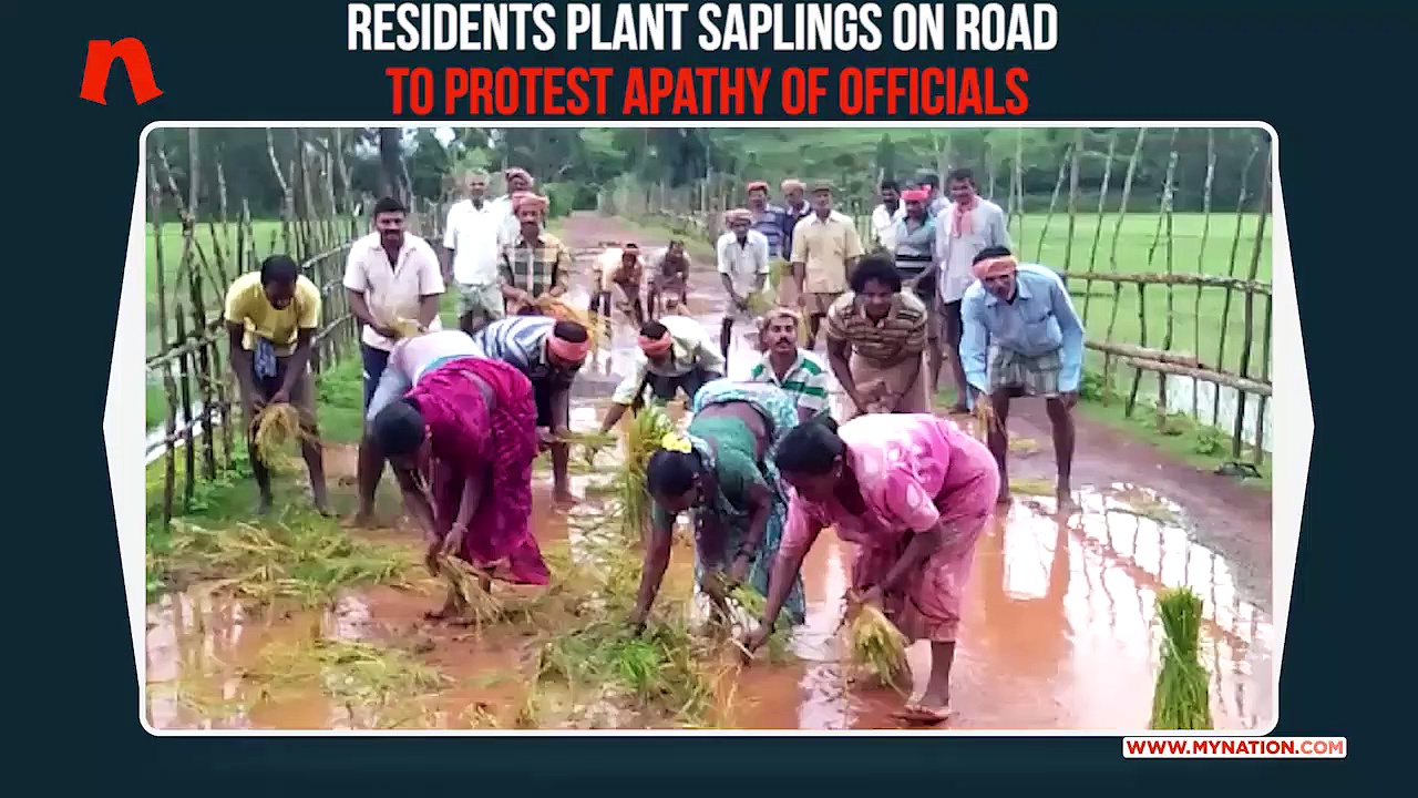Karnataka: Kumta residents plant saplings on potholed roads as protest