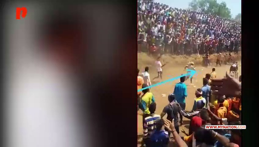 Bull-taming sport at Haveri: One gored to death