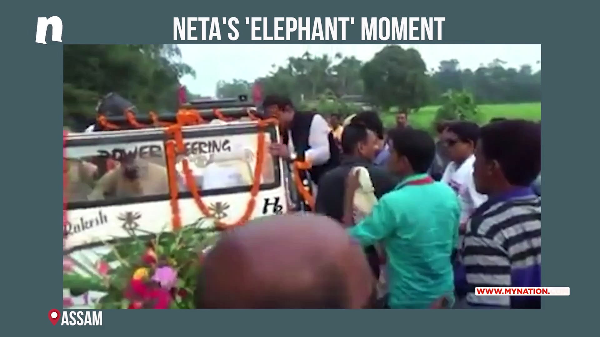 Assam: Newly-elected deputy speaker caught on camera falling off elephant (Video)
