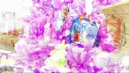 TG GARGANOTV 25 06 2022