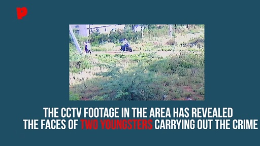 Tamil Nadu: Chain snatching takes place in broad day light at Coimbatore