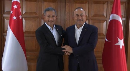 Dışişleri Bakanı Çavuşoğlu, Singapurlu mevkidaşı Balakrishnan ile bir araya geldi