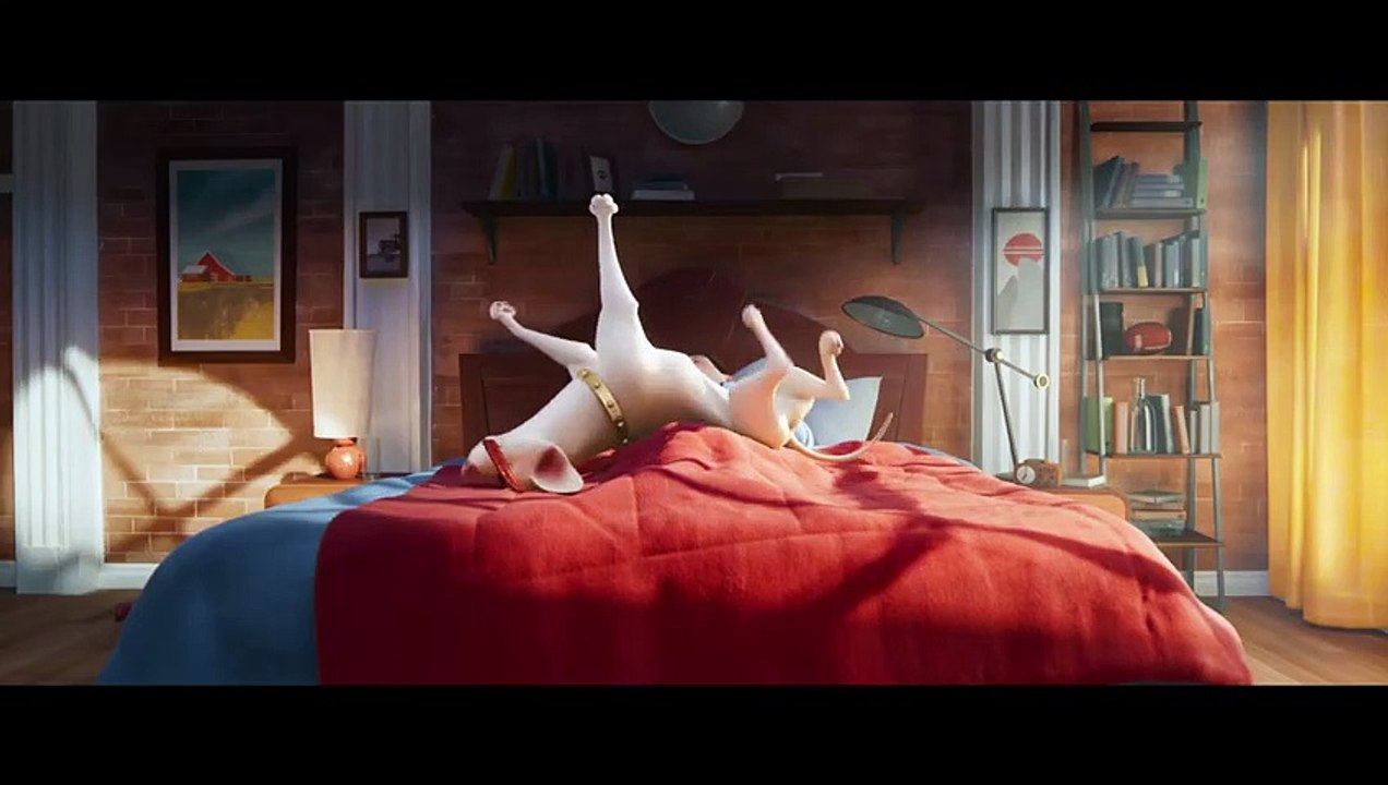 DC League of Super-Pets - Meet The Pets - Krypto the Super Dog