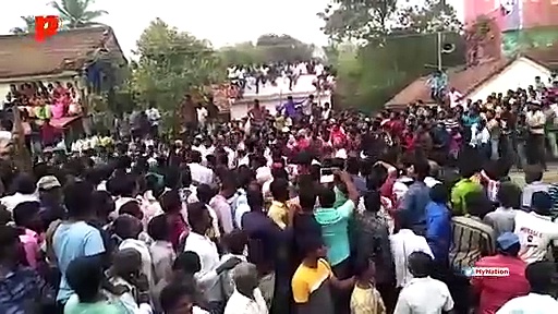 Jallikattu event goes awry, crowd pelts stones at cops