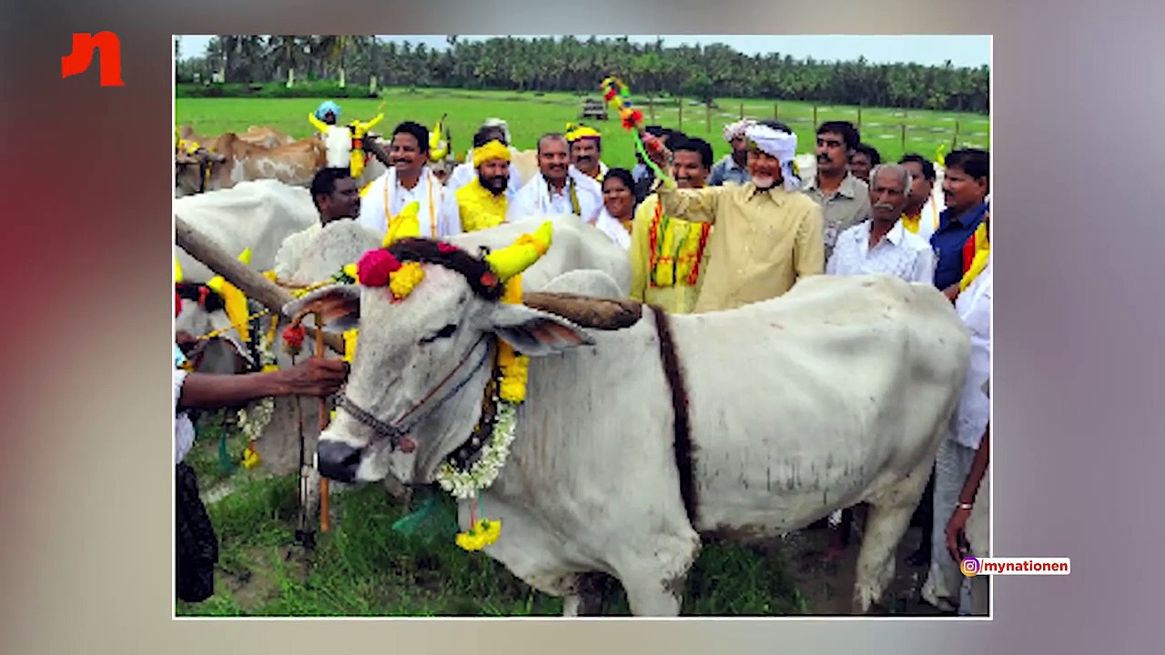 Naidu versus Jagan: Andhra Pradesh has lots on its plate