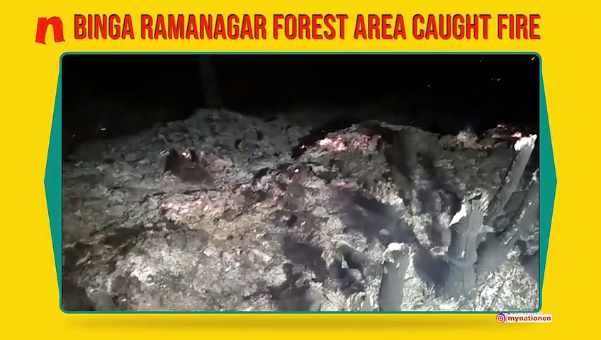 Karwar forest fire: Trees spread over two acres gutted