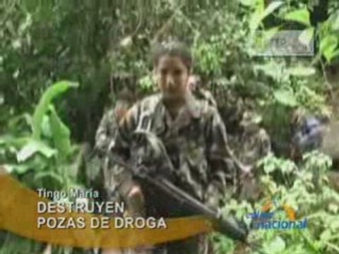 DESTRUYEN POZAS DE DROGA - TINGO MARÍA